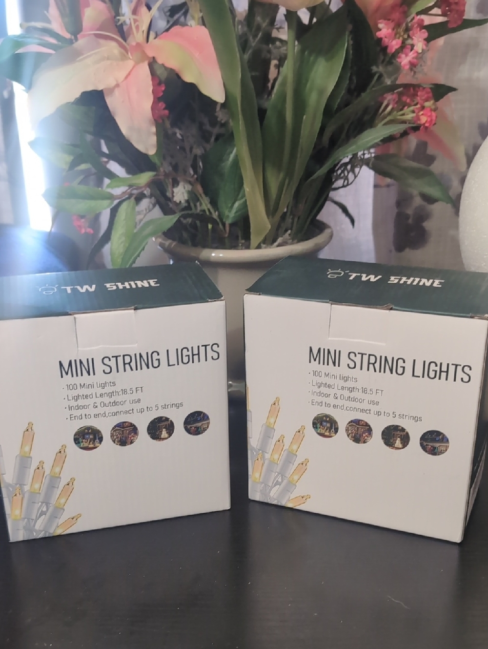 Mini String Lights - Clear Bulbs (2-Pack)